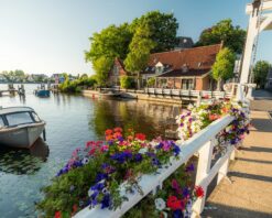 The River Vecht and Castle de Haar Tour